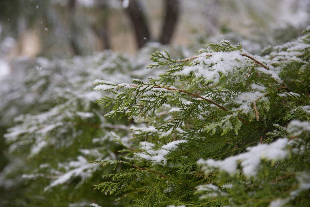 � �������, 8 �������, ��������� ������ ������, �� ������� ����������