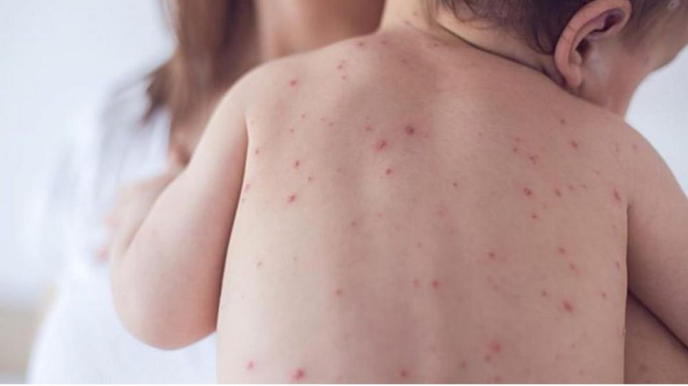 �������� ���� � �������. ��� ����� 2 000 ����������. � ������ ��������� 10 ��� ��������� ���������� ��������. �������� � ��� ����� ��������, ����� �������� ����������