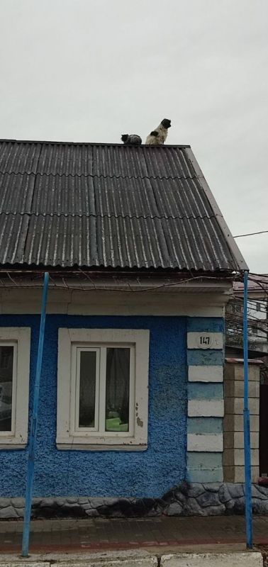 ���������. ������� ����������� ����� �������� ������ �����