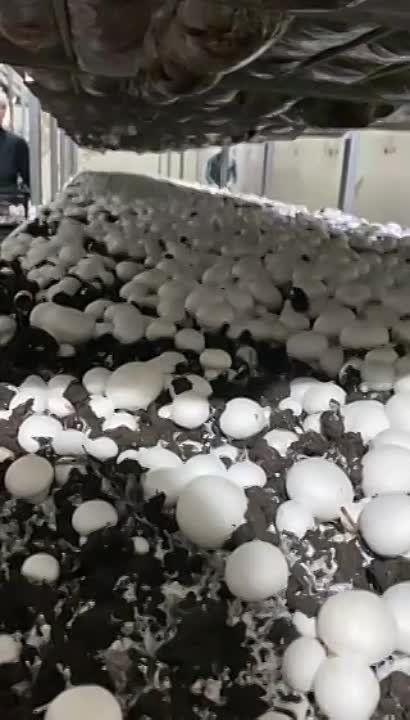 � �������� �������� �� 300 �� ����������� � ����