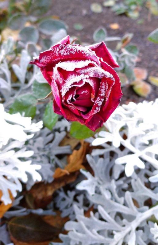 � ������� � ������������� ����� ����, � ������� �� ���������