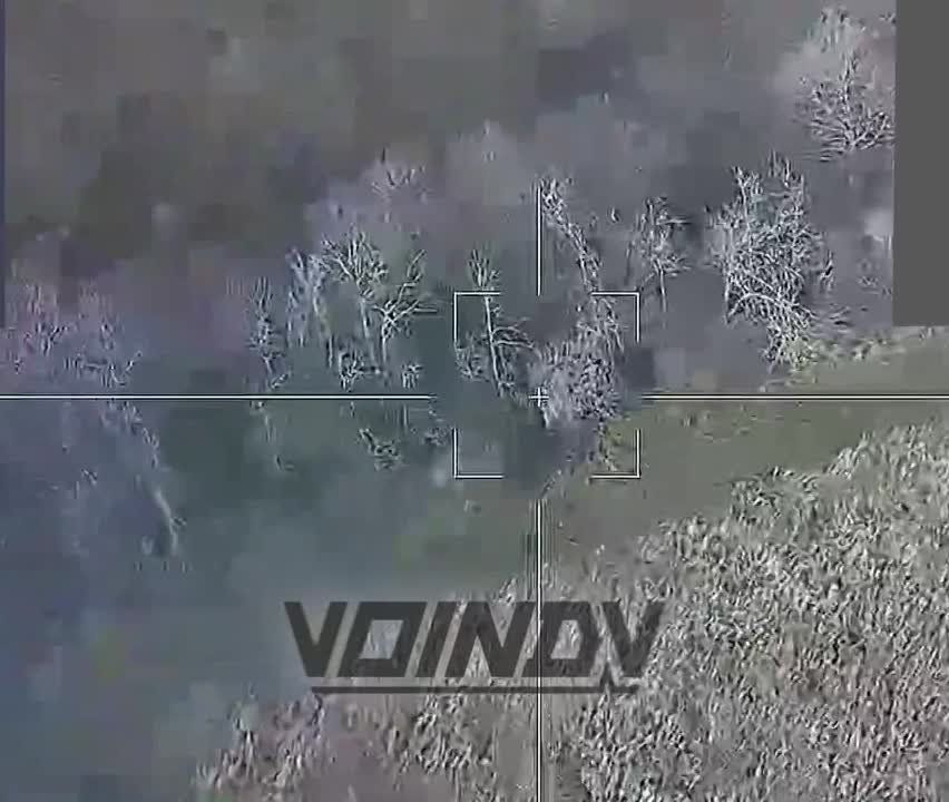 ����������� ��������� ���� ����� ���������� �������� � ������� ���������