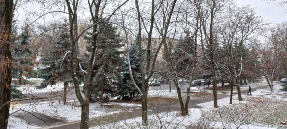 ������� ���� �����������