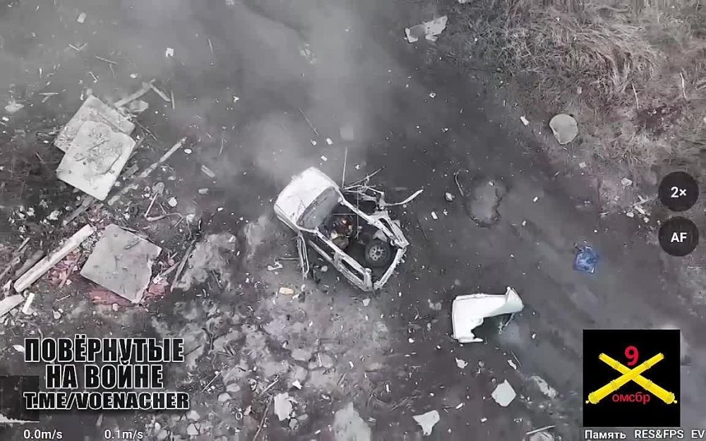 ���������� �������� ���� ������ ���������� ������� ������� �������