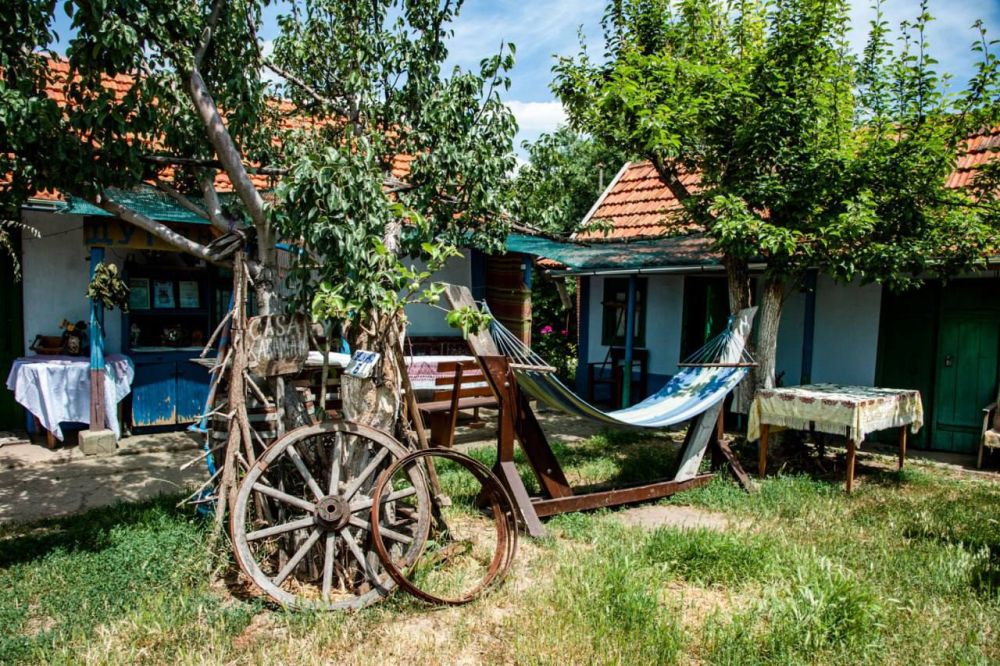 ���-����� ����� �������� � ������ ������ ��������� ������� 2023 ����