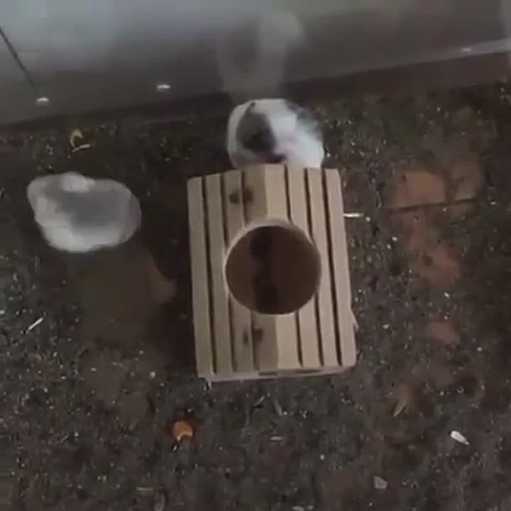 ��� �� ��� ��� �������)))