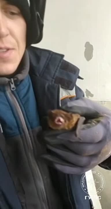 ����� 500 ������� ����� ���������� �� ������� � ��������