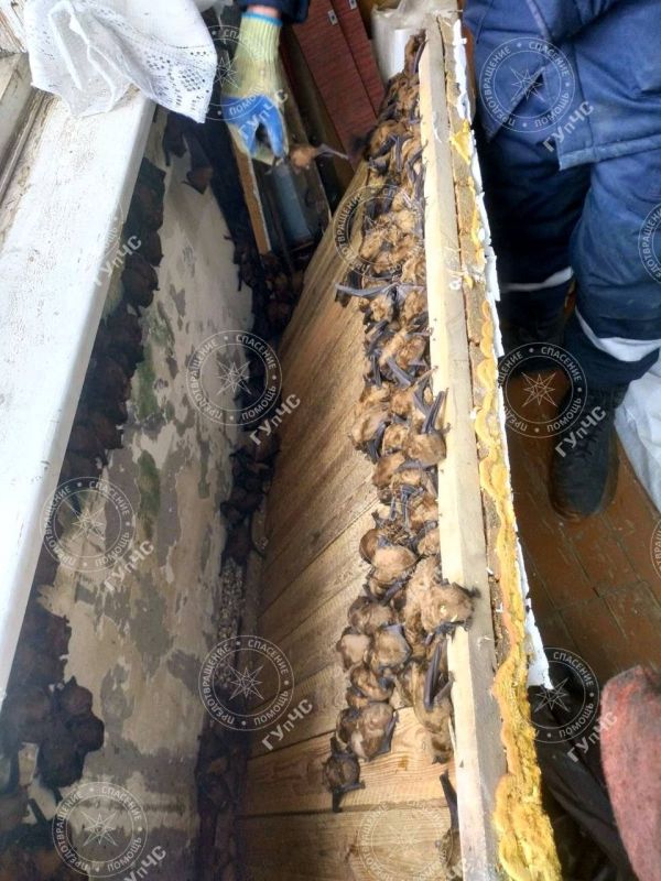 500 ������� ����� ���������� �� ������� ����� �� ���������� �������