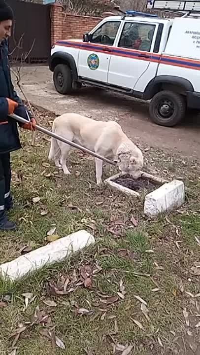 � ��������� ��������� ������