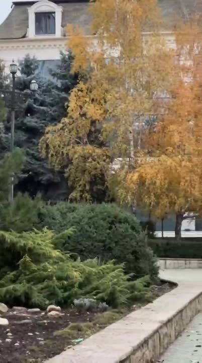 � ��������� � ����