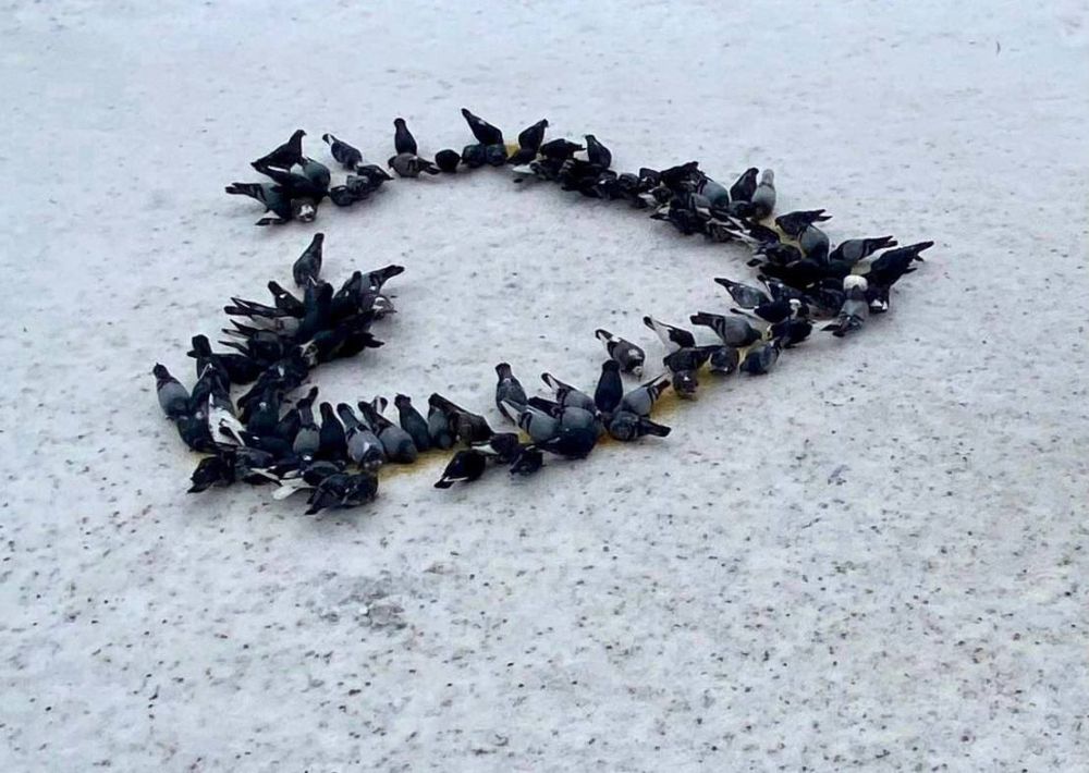 ���� ��� ����������. �������������� ������ ��������� ��� ��� ����� ������. ���������� ������ �����