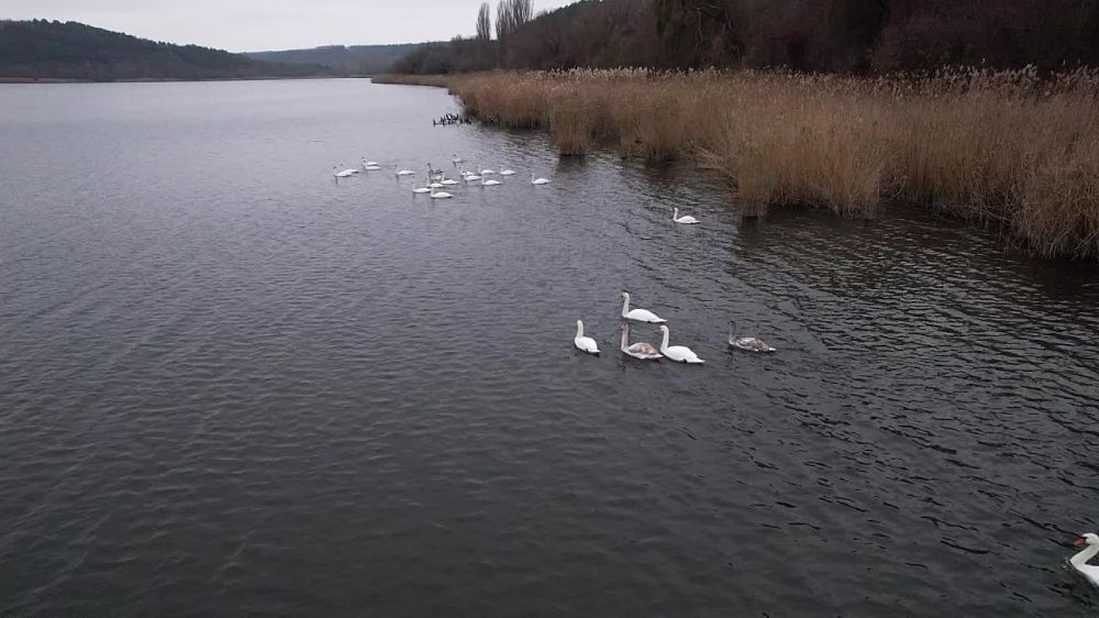 ����� � ���, ��� ����� ���������� �� ������ ��� ��� �������������� ��������