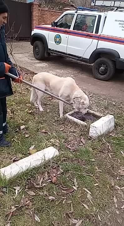 ��������� ���� ������ ������