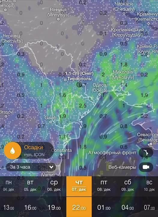 ���� ����� ���� ��� ����. ���������� ������ �����