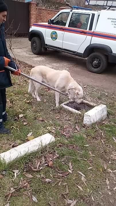 ��� ������� ������?. ������ ����� ��������� � ��������� ����� � ���������. ������ ���� ������: 0533 80663 (�����)