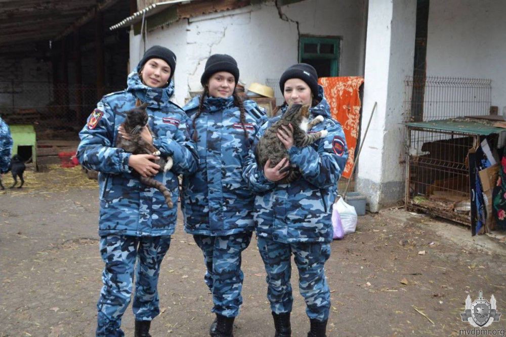 � ������� � ��������. �������� ���������������� ���������� ������� ��� ��� �������� � ������ ������ �������� �. �������. ����� ������ ������������ � ������ ��������������� �����