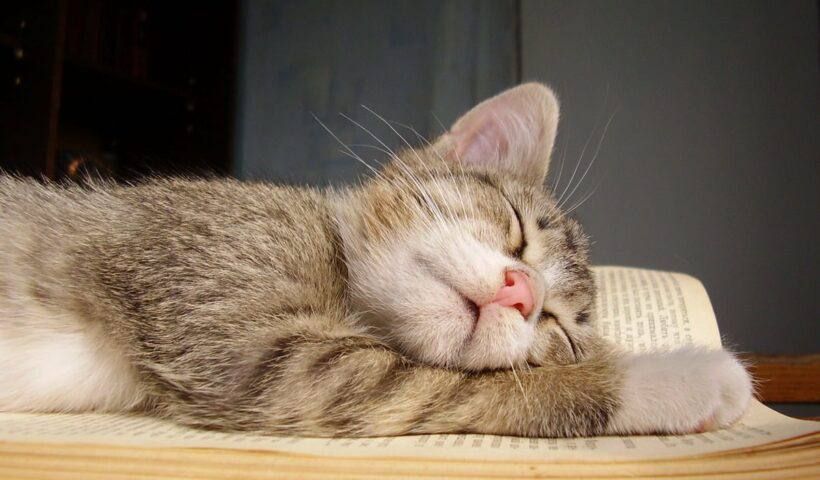 ���� �� �����?. 7 ������� ���������� ���� ��������� �������