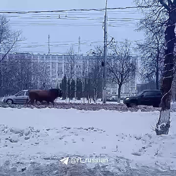 � ��� ����, ����, �****!. � ����, ����, �**