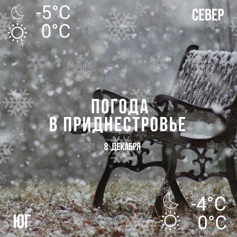 ���� ����� ����. �� ������� � ����������.