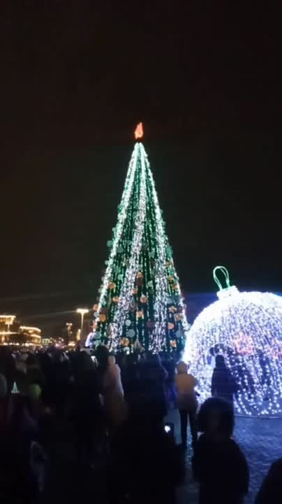 ������� ���� ������ ������