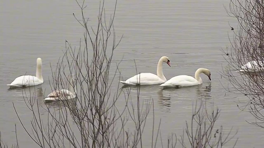 ���� ������� � ���� ������ (��������� �����)