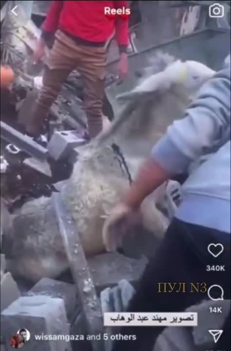 ���������� �������� ������ ����, �������� �������� ��������� ������, ������������ � ���������� ��������� � ����