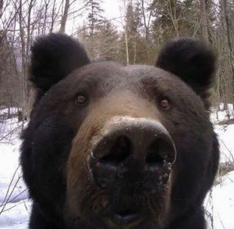 ������� �� ���� ������ ���������� ������� ������ ����������� � ������������� �������