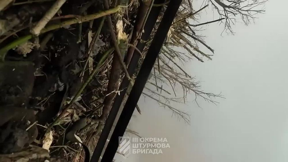 ���� � ���, ��� �������� �� 3-� ��������� ������� (������ ����) � ����� ������