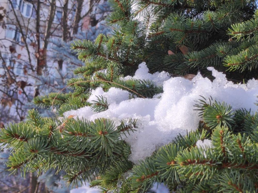 ������� ������. �������, 8 �������, ��������� �������� ������, ��������� ������ ������, ������� ������ �������, �� ������� ����������