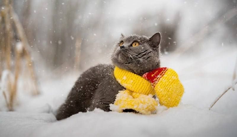 ������������� ���� � ��� ������ �� 10 ���� ������