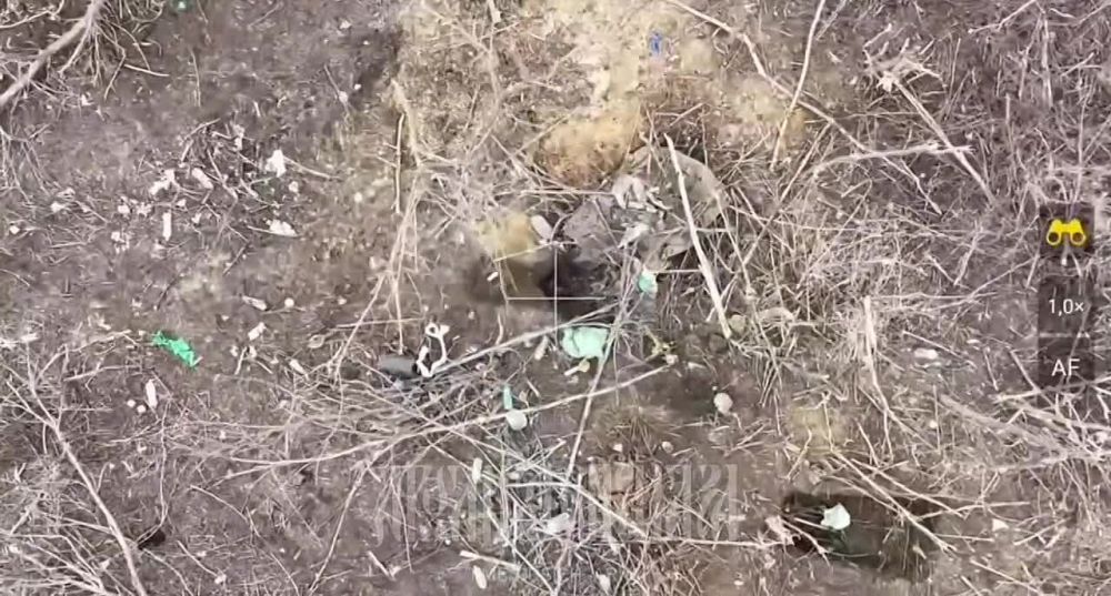 ����� ������ �� ���������� �������.