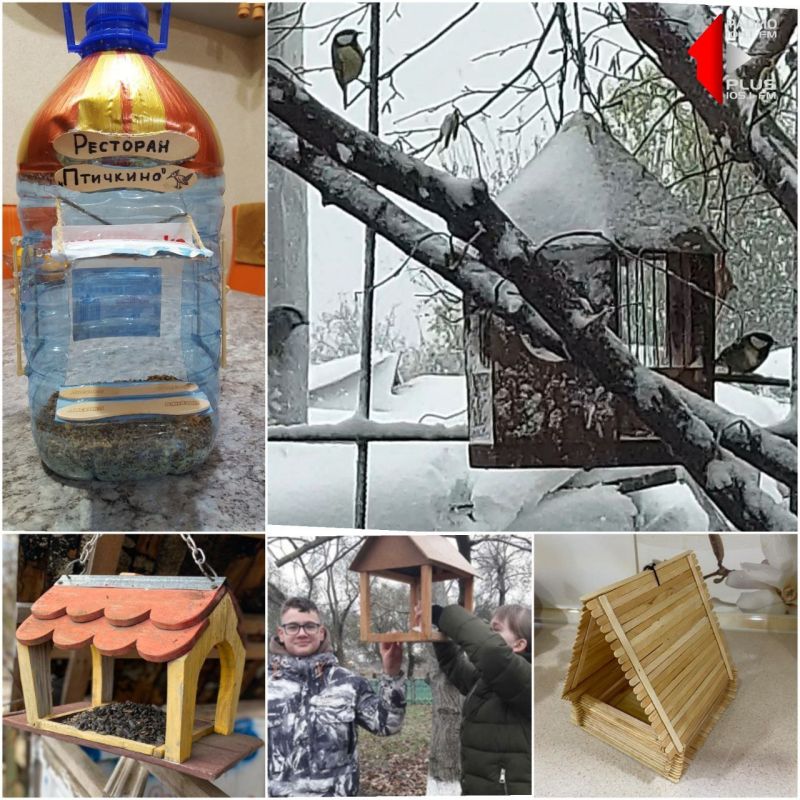 ���������� �������� ������ �������� ����