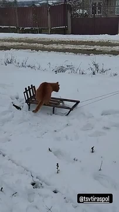 � �������� ���� �� ������ ��������