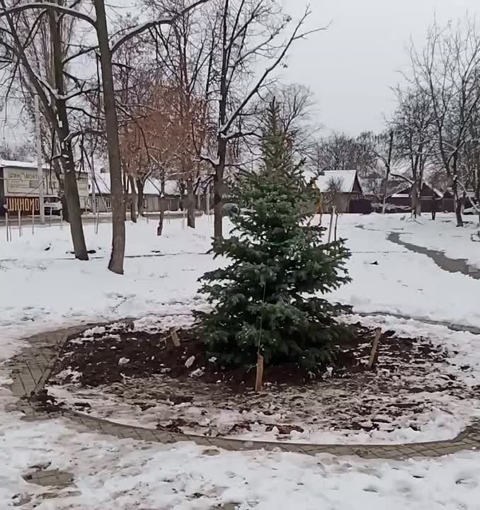 ���� ������ ���������� ����� ������