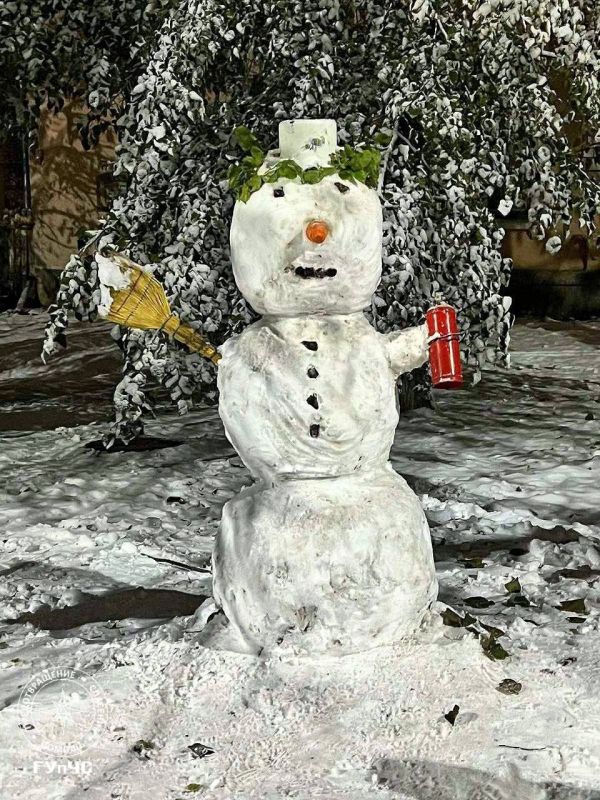 ��������������� �������� ���������� ������� �������