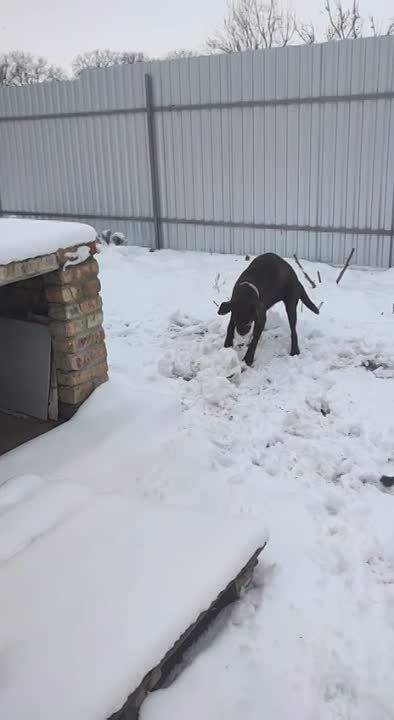 ���� ��������������� ������ ����� ����������