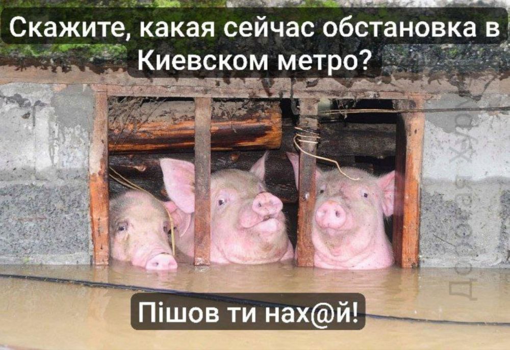 ������� �� ���������� � �������� �����