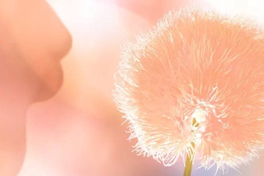 �������� ����� Pantone ������ ������� ���� ������������ 2024 ����