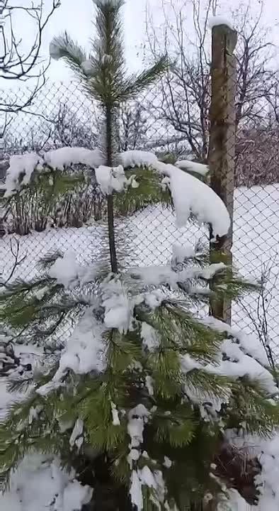 ��� ����� �� �����. ����� �� ���� ������, ����� �������� ���