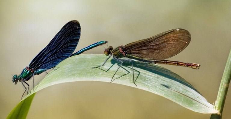 ������ ���������� ��������� ��������� � ������� ��������������� ��������������� ����� � �����