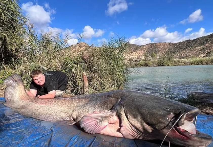 ����� ������. ���������� �������� ������ ���� ����� ����� 69 �� � ��������� ������ �� ����� ������� ������������ ����, ����������� �������