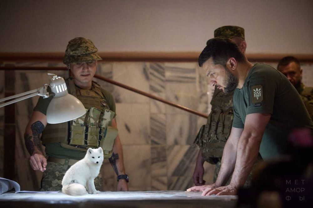 � �� � ��� �� ������?. � �����!