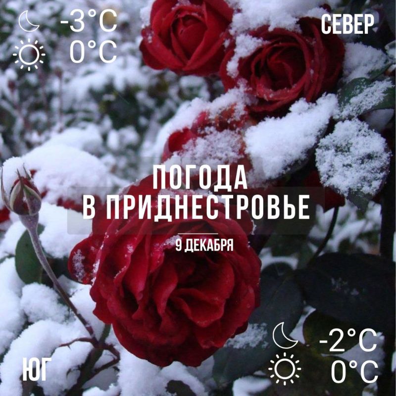 �� ������� � ����������. ���� � ����� ����. ������� � ��� �������