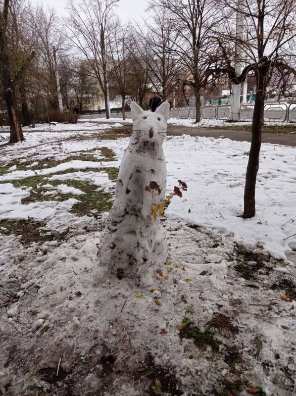 ���� �� ������� ����.