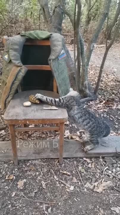 ������. ����� ���������� ����� ��� ������ ������ ������� ����� ����������� �� ����� ���������� �����, ������� ������ ������ ������� ����������� �������������� ����������� ������ � ������ ������