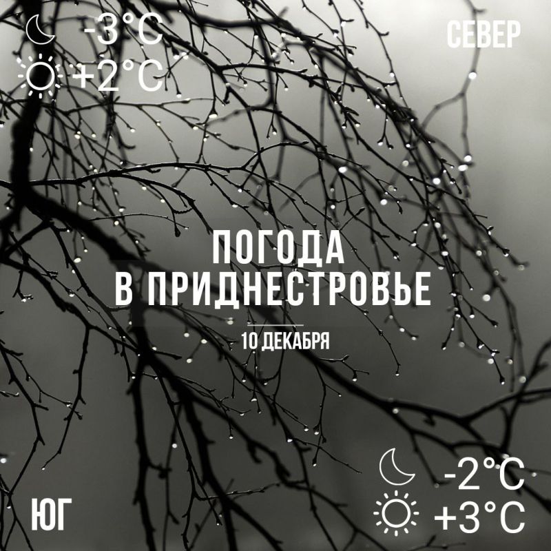 ������� � ��� �������. �� +3��.