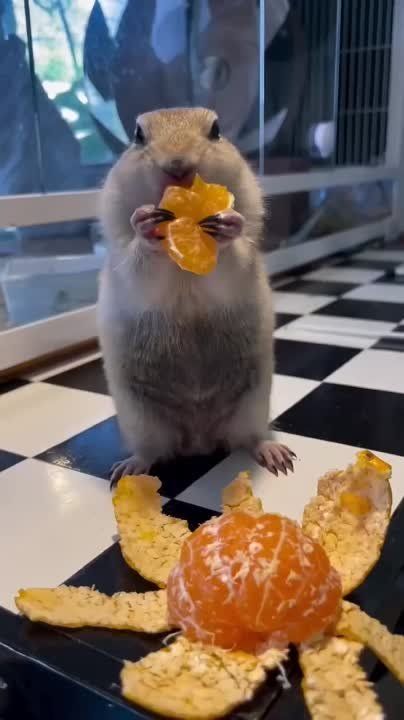 ��������� ����� ����������