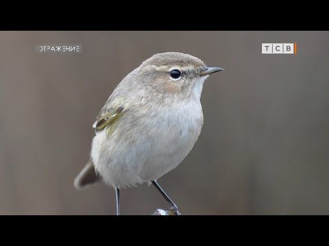 ������ ����� ���������, �� ���������� ������� �� ����� ��������, ������ ����. ������, ������� ���� � ������, � ������ �...