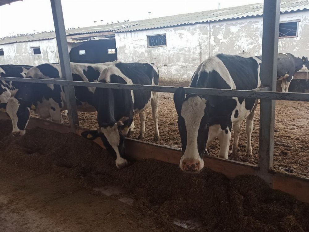 ���������� �������������� ��� ������������ ������������