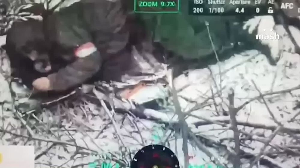 ��� ������������� ������� ������ � ������� 10 ���� �������� ���� ����� � ����� ����